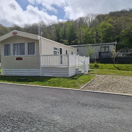 The Tiddler - Plot 101, Woodlands Lodge Retreat, New Quay, West Wales Llanina Εξωτερικό φωτογραφία